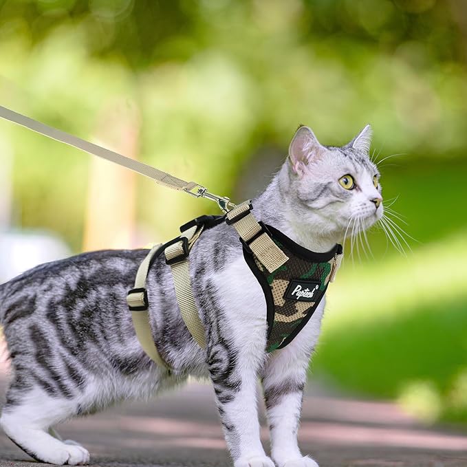 PUPTECK Cat Harness and Leash Set Escape Proof for Walking, Breathable Mash Vest Adjustable Harness for Cats Puppy Small Animals, Reflective at Night, Camouflage Small