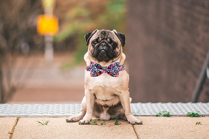 Lionheart glory Premium Floral Dog Collars, Bowtie Dog Collar, Adjustable Heavy Duty Dog Collar with Bow for Large Dogs