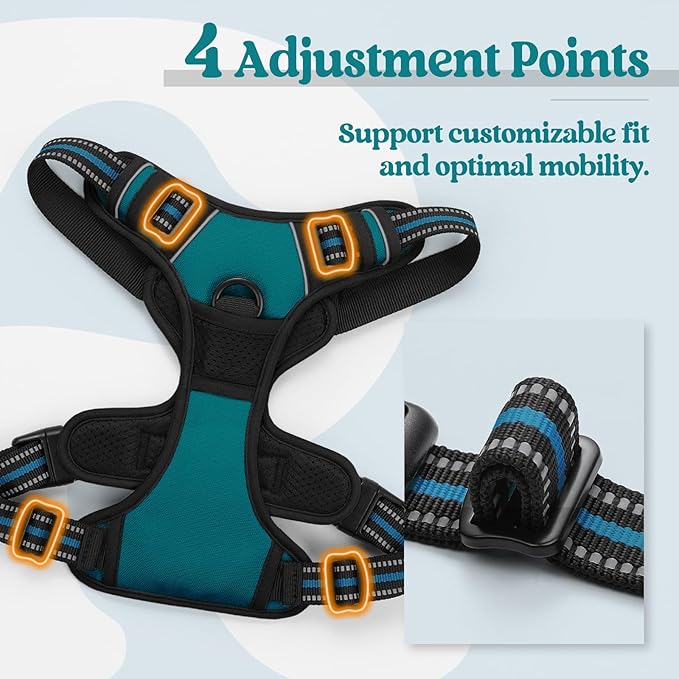 rabbitgoo Dog Harness No Pull with 2 Leash Clips, Adjustable Soft Padded, Reflective Oxford No Choke Pet Vest with Easy Control Handle for Medium Sized Dogs, Blue Coral, M