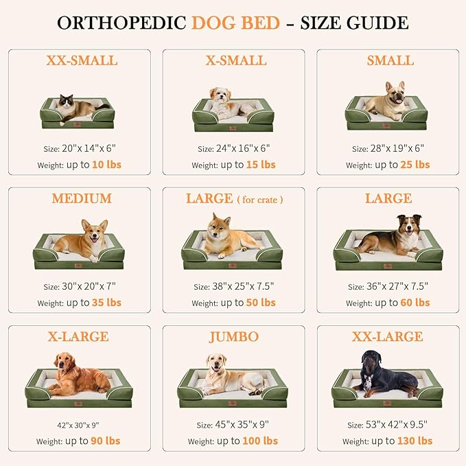 Comfort Expression Medium Dog Beds Waterproof Orthopedic Foam Dog Sofa Beds for Medium Large Dogs Comfy Pet Bed with Washable Removable Cover & Non-Slip Bottom(Medium,Light Green)