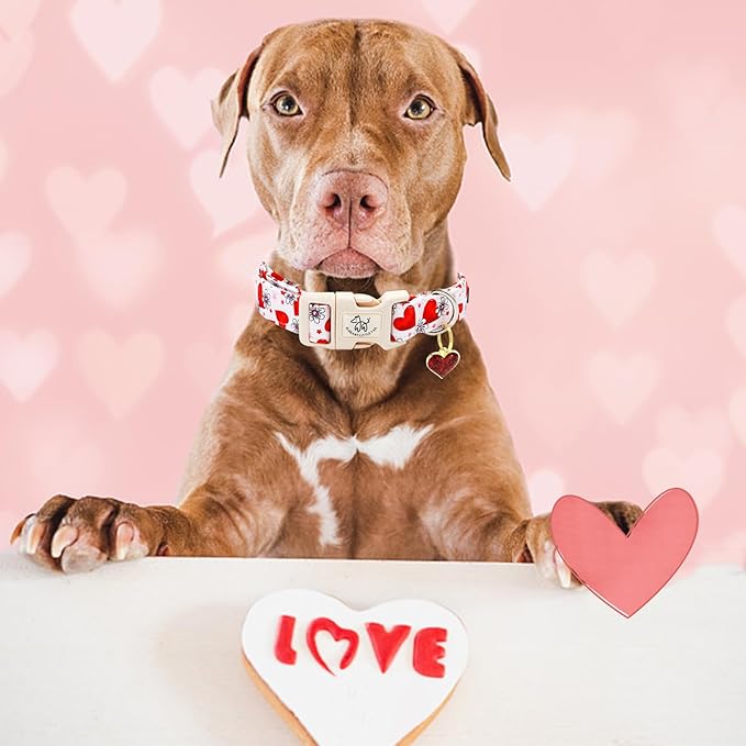 Elegant little tail Valentine's Dog Collar, Flower Pink Heart Dog Collar for Medium Dogs, Female or Male Adjustable Cotton Pet Collar with Quick Release Buckle for Small Medium Large Dogs