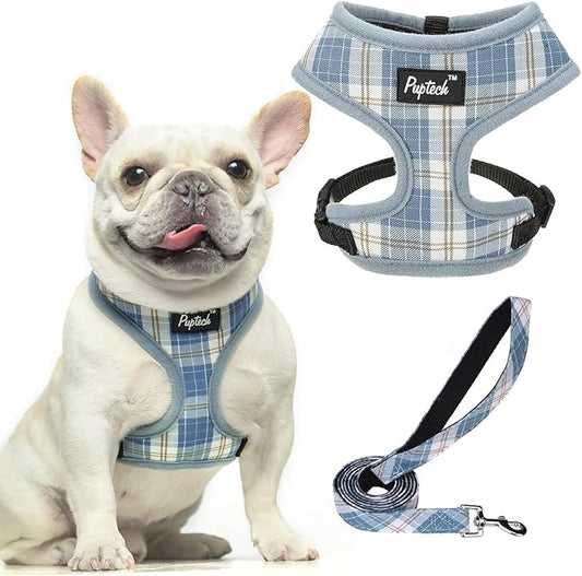 PUPTECK Soft Mesh Dog Harness and Leash Set Pet Puppy Cat Comfort Padded Vest No Pull Harnesses, Sky Blue, L