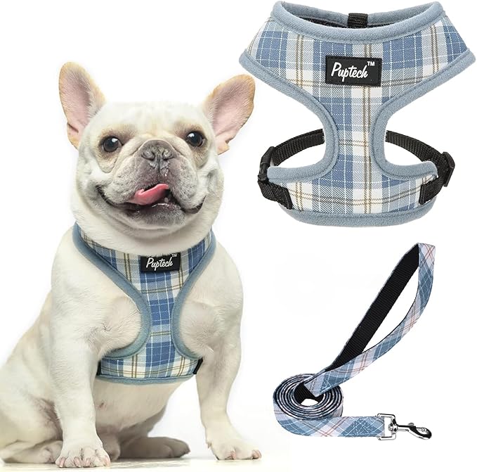 PUPTECK Soft Mesh Dog Harness and Leash Set Pet Puppy Cat Comfort Padded Vest No Pull Harnesses, Sky Blue, M