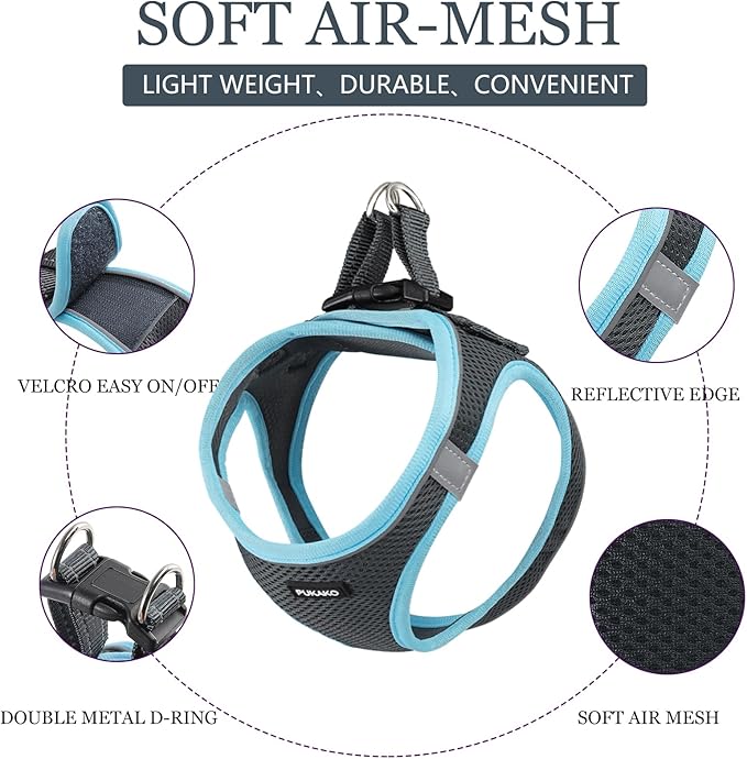 Dog Harness for Small Dogs No Pull, Puppy Harness and Leash Set, Easy Walk Dog Harness for Walking, Grey& Blue， XXS