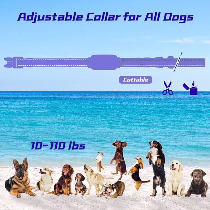 Dog Training Collar with 3300Ft Remote Range 4 Training Modes for Large Medium Small Dogs Rechargable Waterproof Electric Collar with Remote