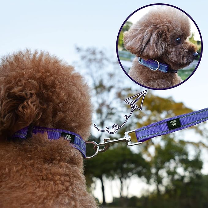 NESTROAD Reflective Dog Collar and Leash Set,Soft Neoprene Pet Collar with Quick Release Buckle,Adjustable Nylon Dog Collars for Small Medium Large Dogs(Small Collar + 5FT Leash,Purple)