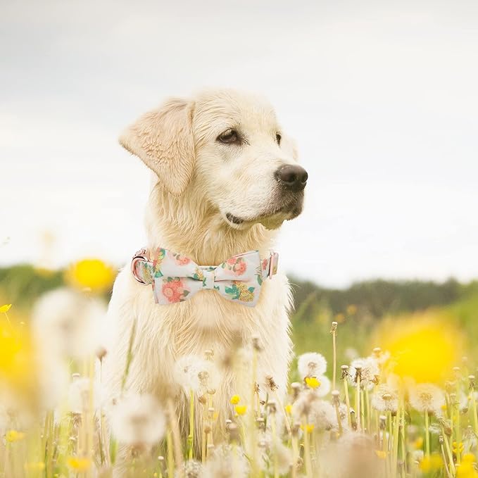 Adjustable Bow Tie Dog Collar Printed Cute Patterns Spring Summer Soft Pet Collars for Small Medium Large Dogs