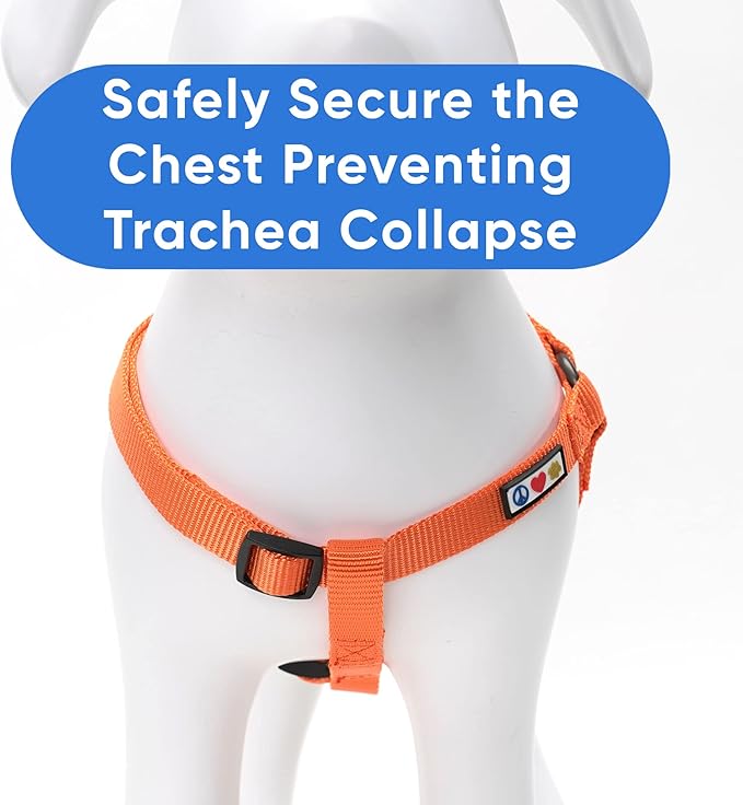 Pawtitas Solid Color Step in Dog Harness or Vest Harness Dog Training Walking of Your Puppy Harness Extra Small Dog Harness Orange Dog Harness