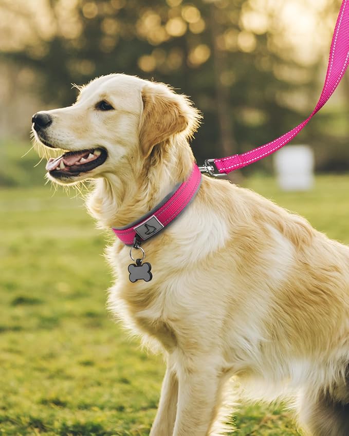 Joytale Dog Collar for Large Dogs, Neoprene Padded and Adjustable, Reflective Wide Heavy Duty Pet Collars with Durable Metal Belt Buckle for Walking, Hotpink, L