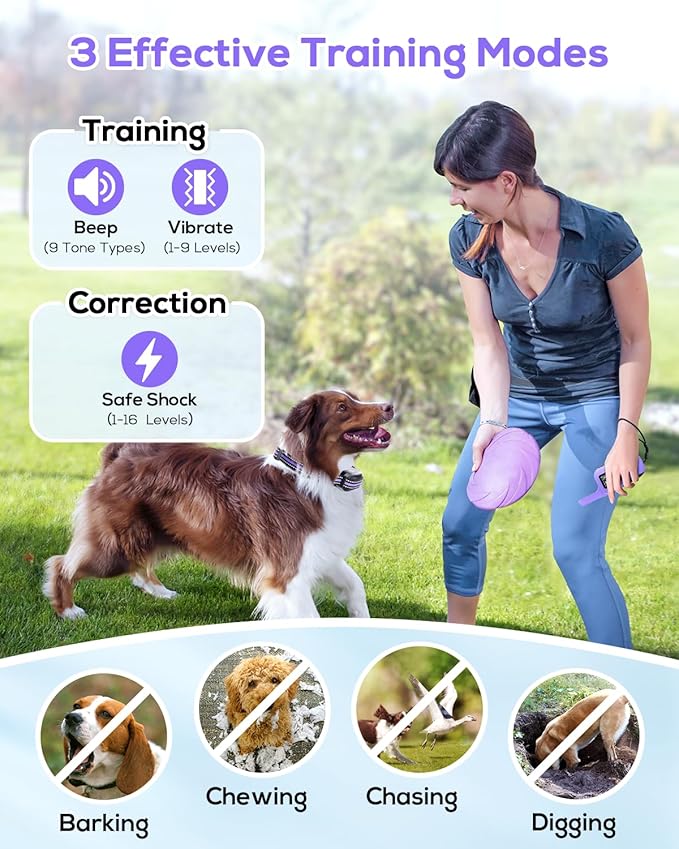 Dog Shock Collar for 2 Dogs (5-120lbs) 3300FT Dog Training Collar with Remote, Rechargeable E-Collar Waterproof Collars with 3 Training Modes for Large Medium Small Dog-Purple