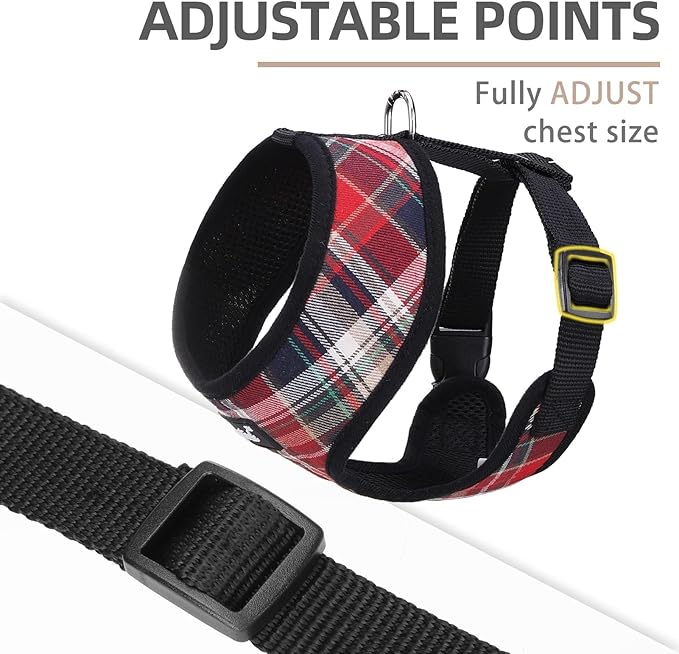 PUPTECK Soft Mesh Dog Harness and Leash Set Pet Puppy Cat Comfort Padded Vest No Pull Harnesses, Red Mixed, L