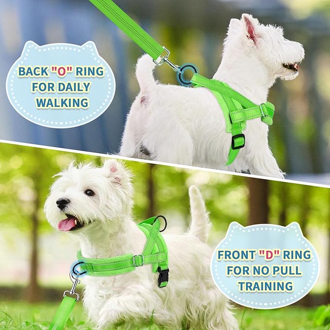SlowTon No Pull Small Dog Harness and Leash Set, Puppy Soft Vest Harness Neck & Chest Adjustable, Reflective Lightweight & Anti-Twist Pet Lead Combo for Small Medium Dogs (G- Front Clip,S)