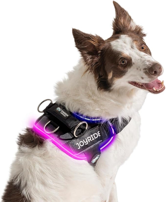 Joyride Harness LED Light Up Dog Harness 2.0 - Patent Pending Design, 3 LED Modes, Vibrant Rechargeable Lighting, Customizable Name Tag Area, and Convenient On/Off Button for Enhanced Pet Safety