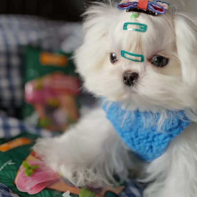 FLAdorepet 3 Packs Teacup Dog Cat XXS Clothes for Chihuahua Yorkie,Winter Warm Fleece Puppy Pet Clothes Sweater Shirt Vest for Mini Newborn Extra Small Dogs (Cute Dnosaur, XXS(Pet 1-2LBS))