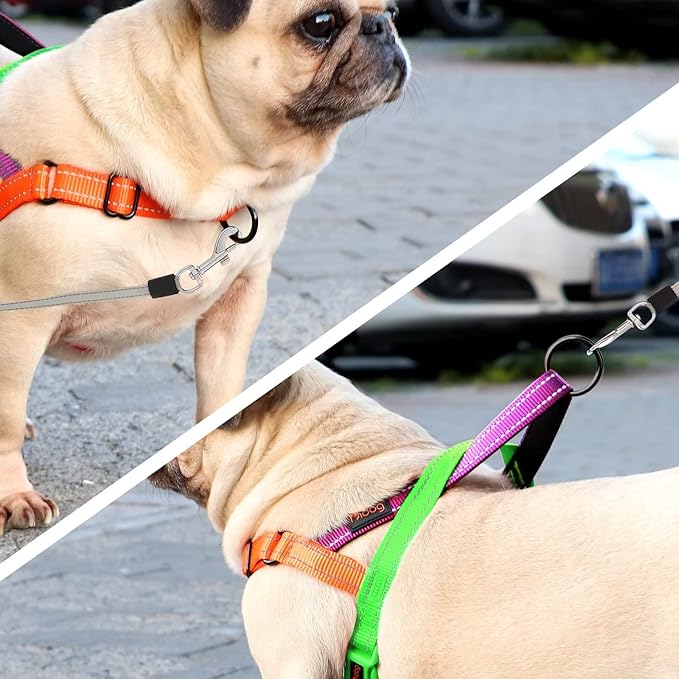 Didog No Pull Dog Harness with Soft Padded Handle, Quick Fit & Lightweight Adjustable Vest Harness, Easy for Training Walking for Small & Medium and Large Dogs(Green,L)