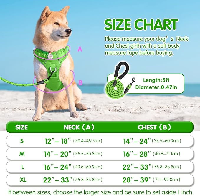 PoyPet Dog Harness and Leash Set, No Pull Adjustable Reflective Padded Pet Vest Oxford Harness with a Heavy Duty 5ft Dog Leash for Small Size Dogs (Green, S)