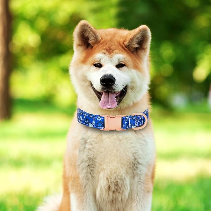 Dog Collar and Leash Set Girls Adjustable Puppy Collars with Floral Bow Tie for Small Medium Large Female Dogs, BluePaisley, S