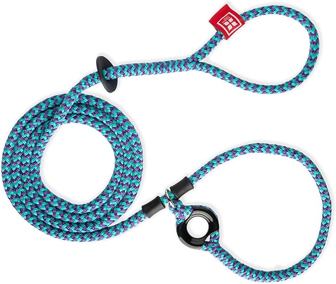 Harness Lead No Pull Dog Harness and Leash Set, Anti Pull Dog Harness, One-Piece Cushioned Rope Safely Prevents Escaping and Pulling *New Insert is Removable (Medium/Large, Purple/Turquoise)