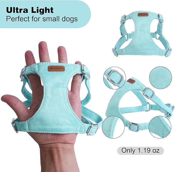 Dog Harness and Leash Set, XXS No Pull Adjustable Puppy Harness with Multifunction Pink Dog Leash and Dog Collar, Soft No Choke Escape Proof Pet Harness Vest for Small Dogs and Cats (Mint Green, M)