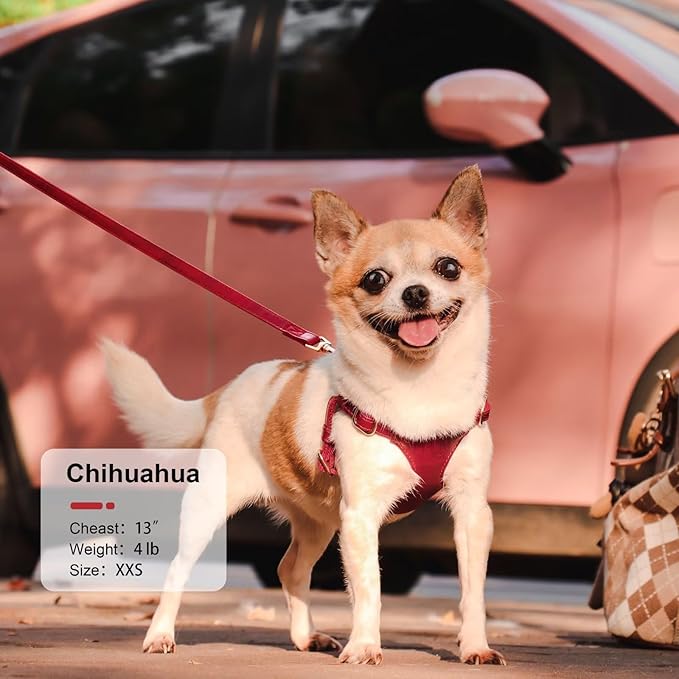 Didog Small Dog Harness and Leash Set, Soft & Lightweight Dog Vest Harness, Adjustable Leather Dog Harness for Small Dogs, Red, XXS