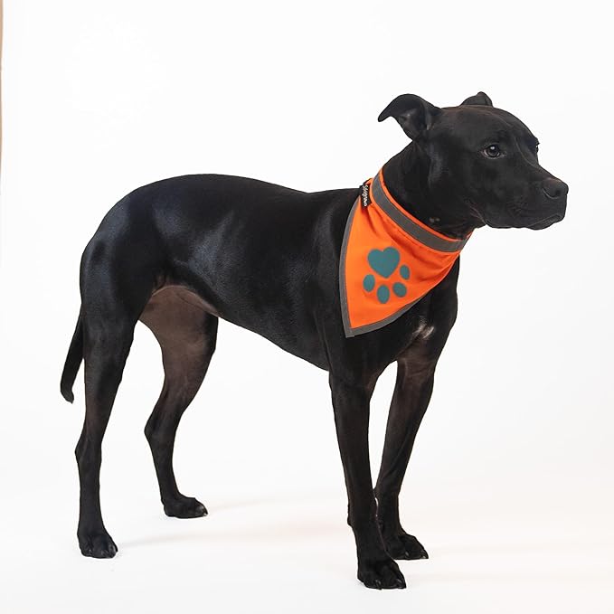 Orange Dog Bandana. Hi-Visibility Reflective Blaze Orange Bandana for Large and Small Pets. Safety Accessories for Walking, Camping, and Off Leash Exploration.