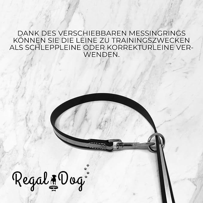 Regal Dog Products Large Orange Reflective Dog Collar and Leash Set - Waterproof Biothane Dog Collar with Heavy Duty Double Buckle, D Ring & 5ft Leash - Other Size for Medium & Large Dogs