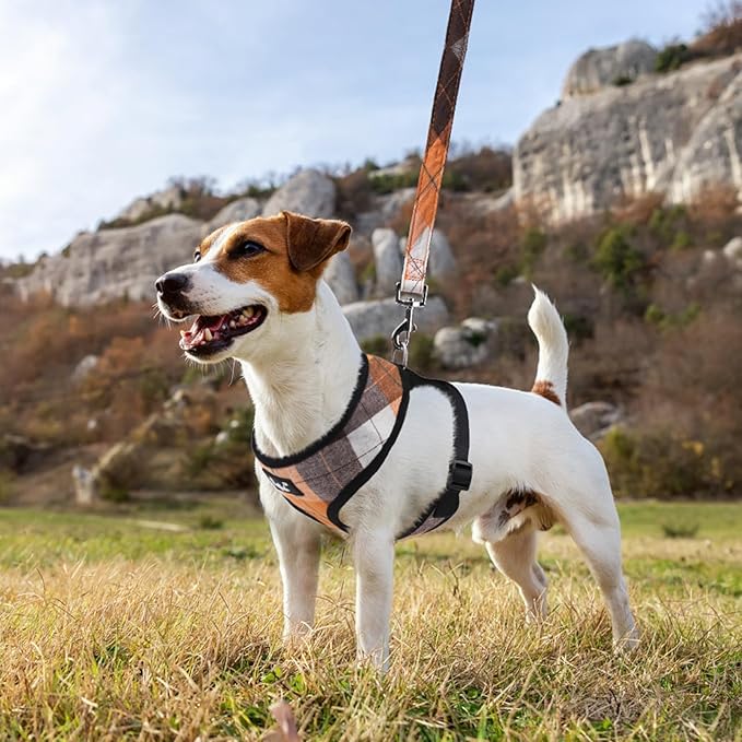 PUPTECK Soft Mesh Dog Harness and Leash Set Pet Puppy Cat Comfort Padded Vest No Pull Harnesses, Orange, XS