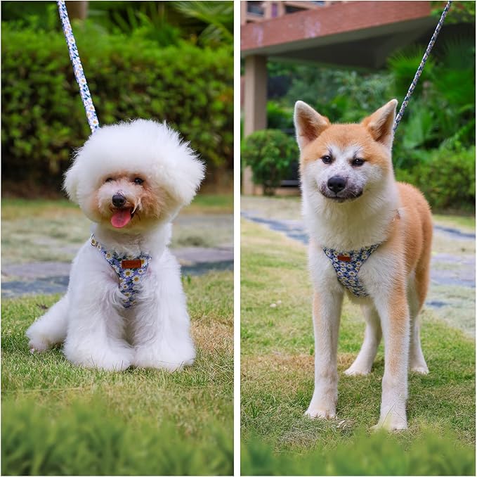 CHEDE No Pull Floral Pattern Dog Harness- Lightweight and Soft Dog Harness, Adjustable Small Dog Harness and Leash Set, with Dog Leash, Suitable for Puppy Small and Medium-Sized Dog (S, Purple Daisy)