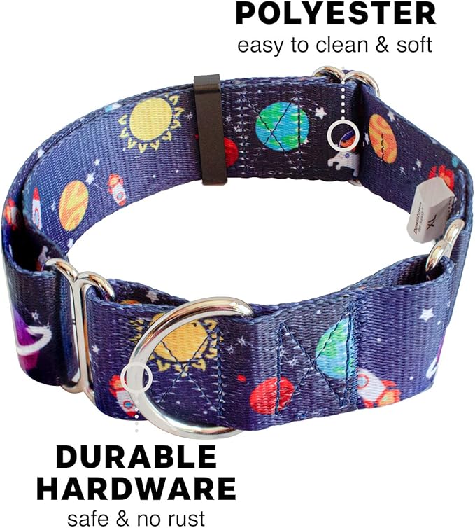 Downtown Pet Supply - Martingale Collar for Dogs - Dog Training Collar - Big, Wide & Thick Dog Collar - Escape-Proof, Weatherproof, Durable and Comfortable - Space - Medium Dog Collar