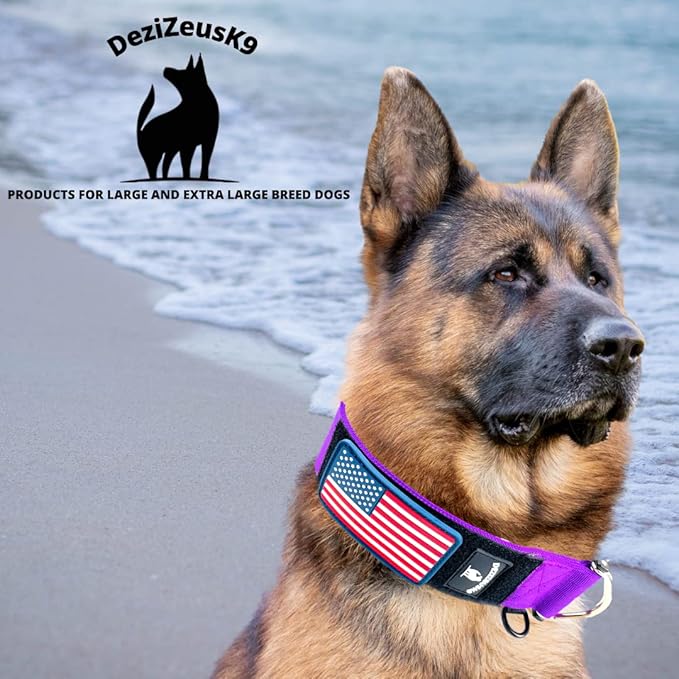Tactical Dog Collar 2 Inch Wide Thick Heavy Duty Military Style with Metal Buckle, Adjustable for Medium - Large Breeds, Durable K9 Training Gear with Patch Area, USA Flag Patch, Strong and Secure Fit