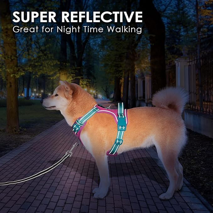 PHOEPET No Pull Dog Harness, Unique Colors Reflective Adjustable Dog Vest, with Soft Training Handle Metal Clips for Small Medium Large Dogs (Pink Base & Green Straps,S)