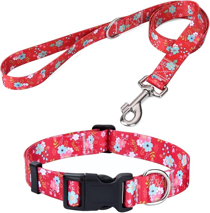 Dog Collar and Leash Set with Bohemia Floral Tribal Geometric Patterns - Soft Ethnic Style Collar Adjustable for Small Medium Large Dogs(Red Floral Set,XS)