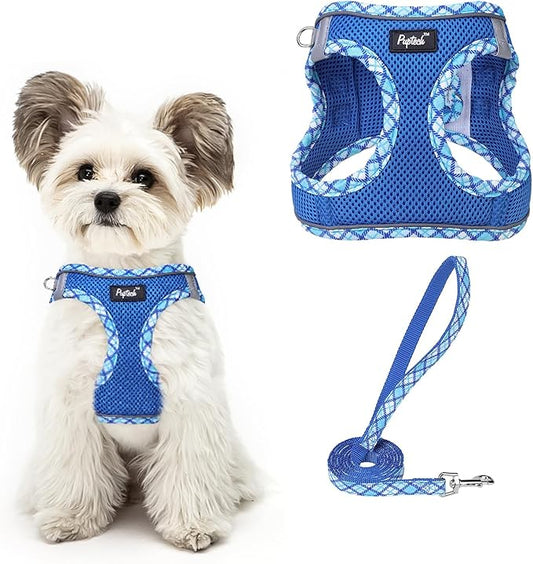 PUPTECK Dog Harness and Leash Set for Small Medium Dogs No Pull Step-in Soft Mesh Puppy Cat Vest Harnesses Reflective at Night, Upgraded New Blue M
