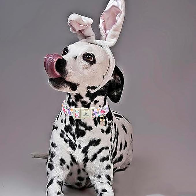 Lionheart glory Easter Dog Collar Colorful Collar for Medium Dog Collars Easter Egg Print Dog Collars Spring Female or Male Pet Gift Adjustable Heavy-Duty Holiday Dog Collar Plastic Buckle