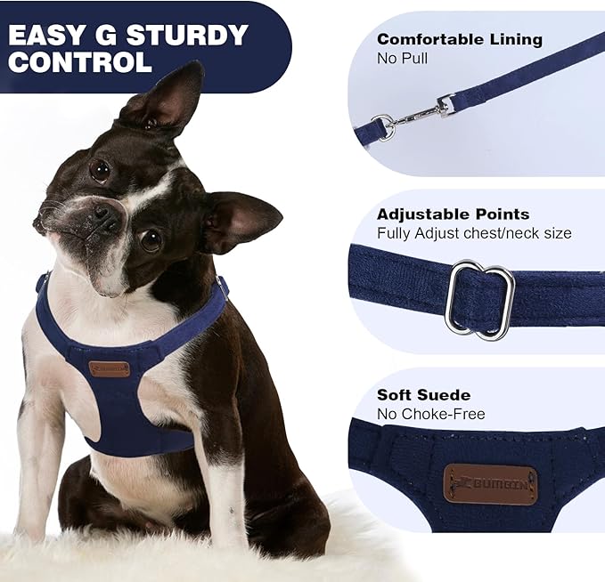 Denim Blue XXS No Pull Adjustable Puppy Harness Set with Multifunction Leash and Collar, Soft No Choke Escape Proof Pet Harness Vest for Small Dogs and Cats