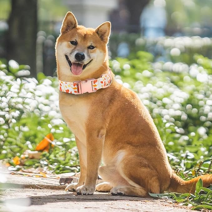 Dog Collar and Leash Set Girls Adjustable Puppy Collars with Floral Bow Tie for Small Medium Large Female Dogs, Orange Maple Leaf, XS