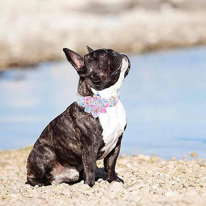 Lionheart glory Dog Collar Flower Collar Pink Dog Collars with Flower Summer Cute Sea Animals Print Collar Dog Female Soft Durable Adjustable Dog Collars for Small Dogs
