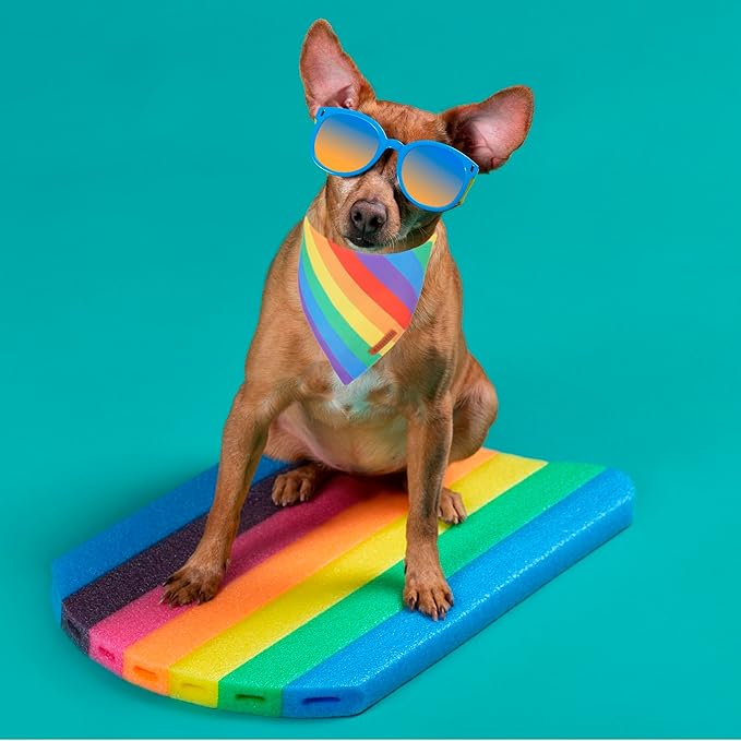 ADOGGYGO Rainbow Dog Bandana, Multi Size Offered, Rainbow Bandanas for Small Dogs Pets (Small)