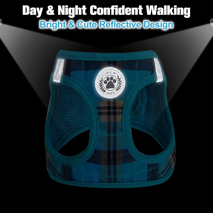 BEAUTYZOO Small Dog Harness and Leash Set,Step in No Choke No Pull Soft Mesh Dog Harnesses Reflective for Extra-Small/Small Medium Puppy Dogs and Cats, Plaid Dog Vest Harness for XS S Pets, Blue M