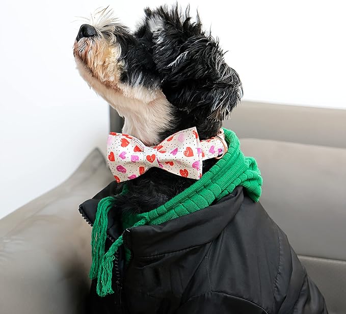 Lionet Paws Valentines Day Dog Collar with Bowtie, Dog Bowtie Collar with Metal Buckle for Dogs, Adjustable Comfortable Dog Collar Girl Boy, S, Neck 10-16 in