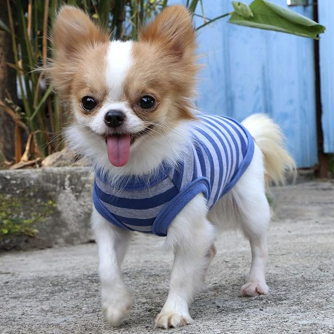 LOPHIPETS 100% Cotton Striped Dog Shirts for Small Dogs Chihuahua Puppy Clothes Tank Vest-Blue and Gray Strips/M