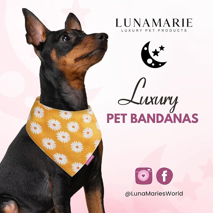 Luxury Pet Birthday Bandanas -Premium & Silky Poly Fabric | 100% Handmade | Custom Shape Dual Layered (Daisies, Large)