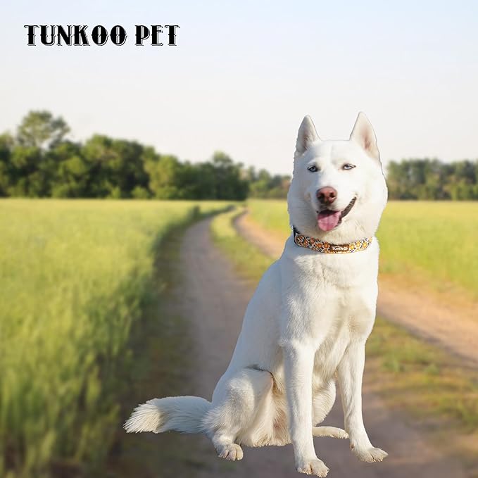 Tunkoo Flower Dog Collar, Cute Adjustable Yellow Collar for LGBT Pride Month Strong Plastic Buckle - for Small Medium Large Pets, L