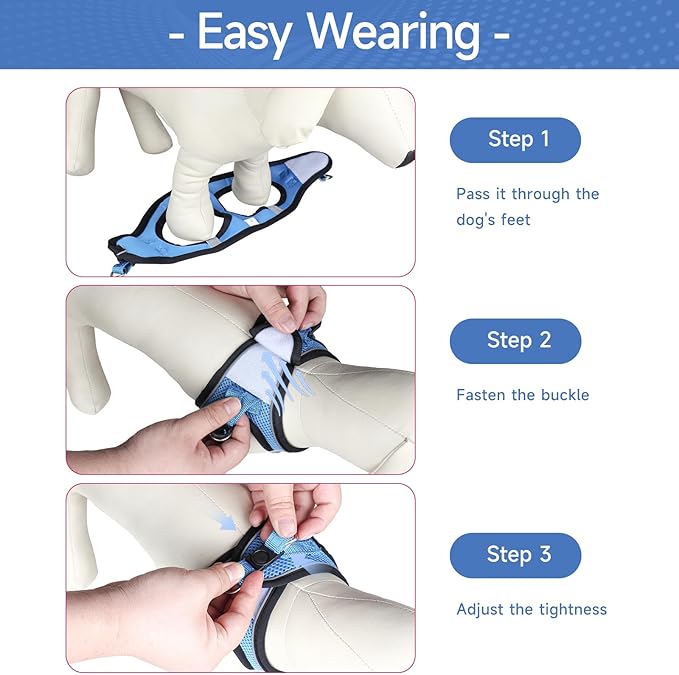 Dog Harness for Small Dogs and Leash Set, Honeycomb Grid, Reflective Lightweight Harness & Anti-Twist Pet Lead Multi Color, Size: XS-S-M. (S, Marine Blue)