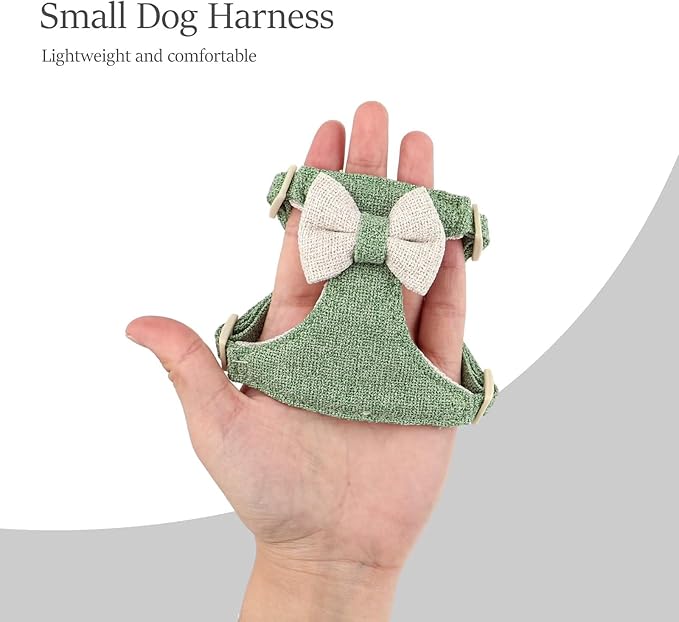 Didog Small Dog Harness Collar and Leash Set, Adjustable Lightweight Vest Harness with Cotton Soft Mesh for Small Dogs, Cats (Green, S)