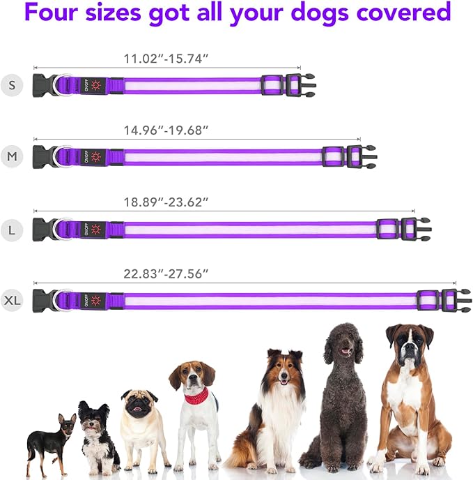 VIZPET LED Dog Collar, Light Up Dog Collar Adjustable USB Rechargeable Super Bright Safety Light Glowing Collars for Dogs (Purple, Small[11.02-15.74 inch/28-40cm])