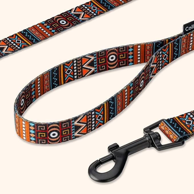 CollarDirect Aztec Dog Leash Nylon Tribal Pattern Cat Pet Leashes for Small Medium Large Dogs Puppy Lead 5 FT Long for Walking (Aztec Sunset, S, New)