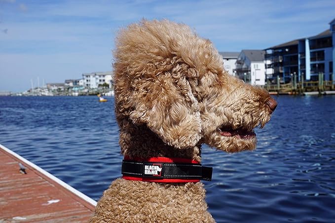 Black Rhino - The Comfort Collar Ultra Soft Neoprene Padded Dog Collar for All Breeds - Heavy Duty Adjustable Reflective Weatherproof (Small, Red/Black)