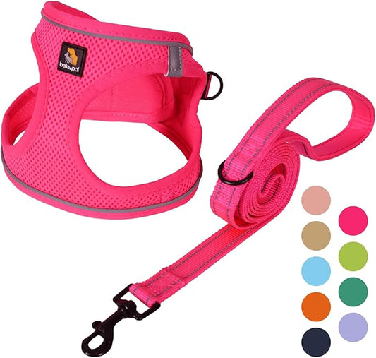 BELLA & PAL Puppy Harness With Leash Set, No Pull for Small Dogs, Step in Harness for Extra Small Dogs, Hot Pink, L