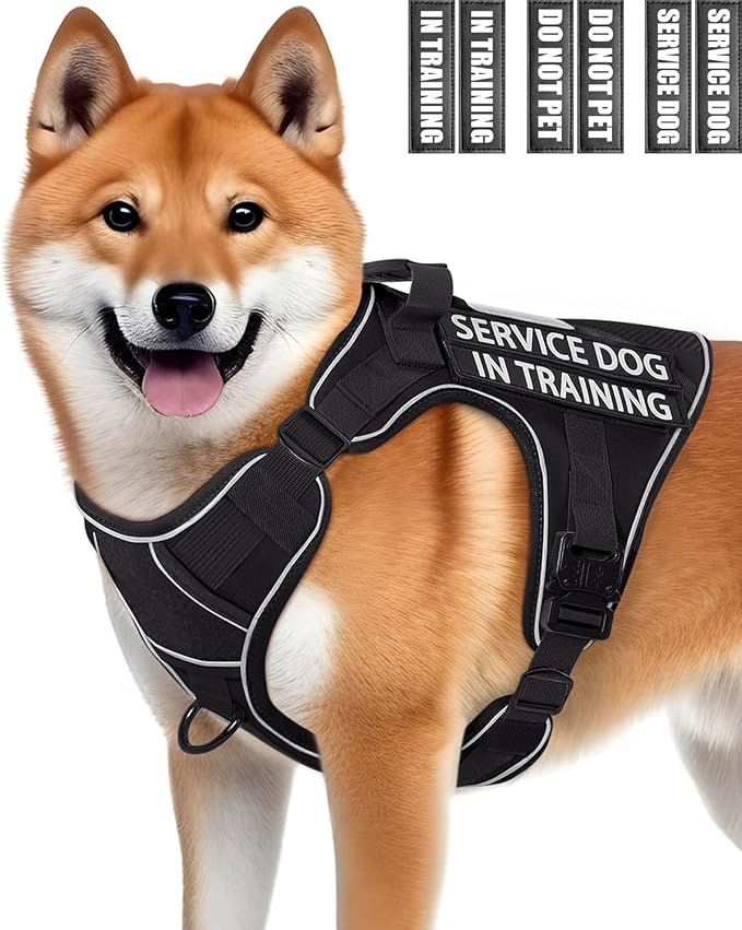 Reflective Black Service Dog in Training Vest Harness for Medium Dogs, Adjustable Heavy Duty Padded Dog Harness, with Front Clip and Metal Buckles Do Not Pet for Training, Hiking